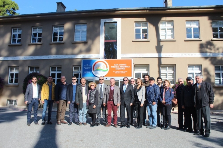 Meslek Odaları Eşgüdüm Kurulu’ndan Narenciye Arazisinin Tahsisine Tepki