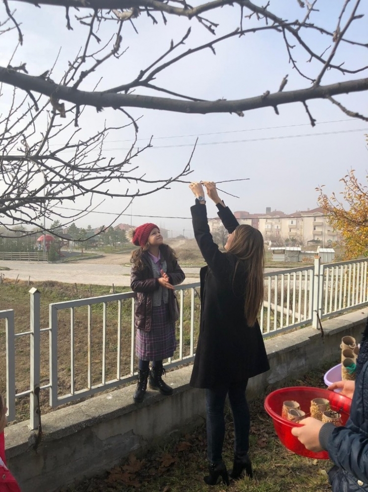 Öğrencilerden Kuşlara Yem