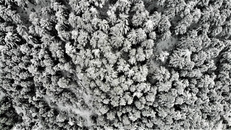 Denizli’nin Yüksek Kesimleri Beyaz Gelinliğini Giydi