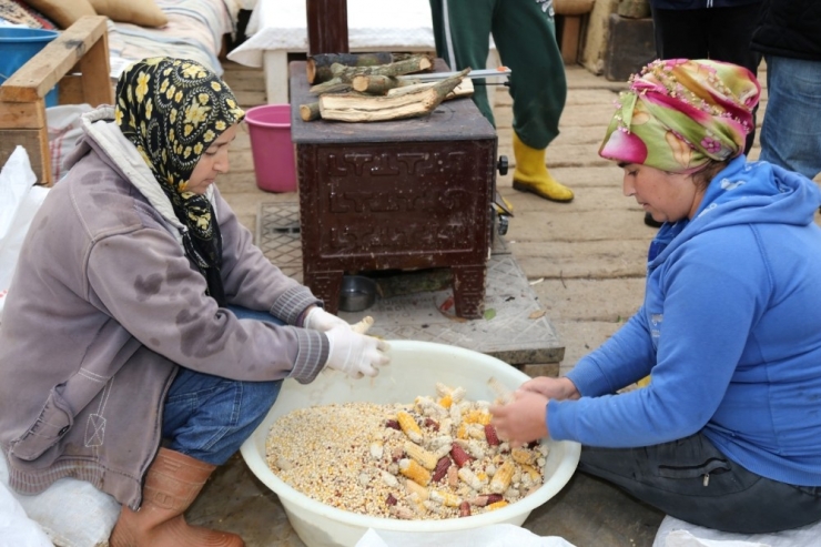 Ko-mek’ten Hibrit Tohumla Mücadele