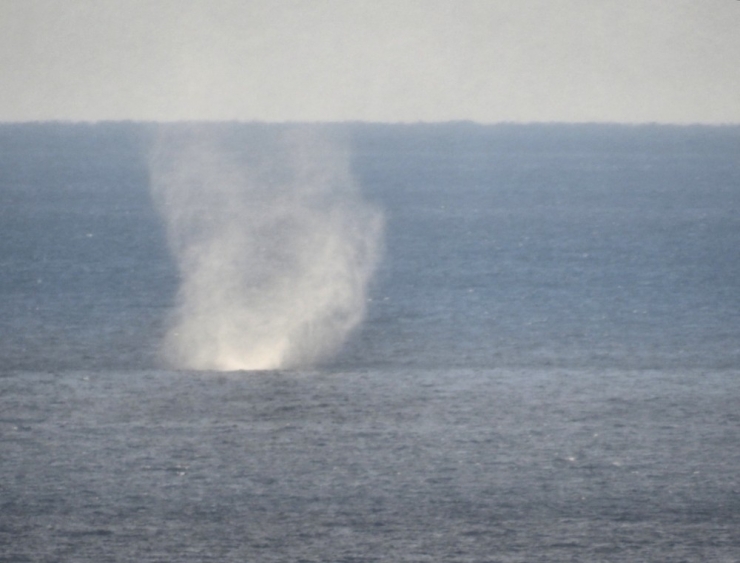 Alanya’da Denizde Oluşan Hortum Korkuttu