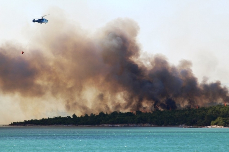 Türkiye Tabiatını Koruma Derneği Ayvalık Temsilcisi Özgen’den Anlamlı Talep