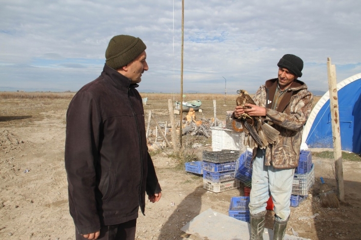 Uçamayan Saz Delicesi Koruma Altında