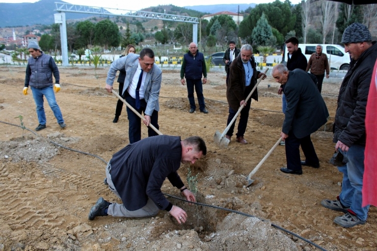 ‘Çocuklarımıza Bırakacağımız En Güzel Miras Ağaçtır’