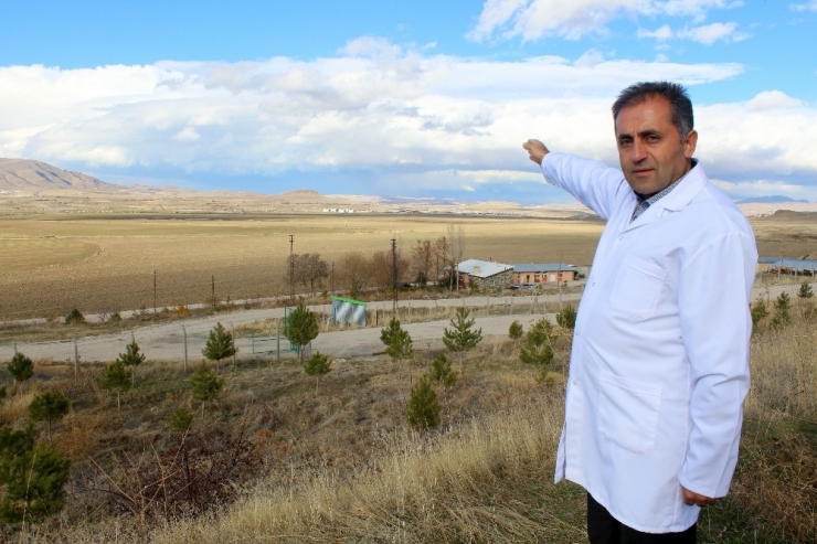 Kâra Geçen Votaş Markalaşıyor