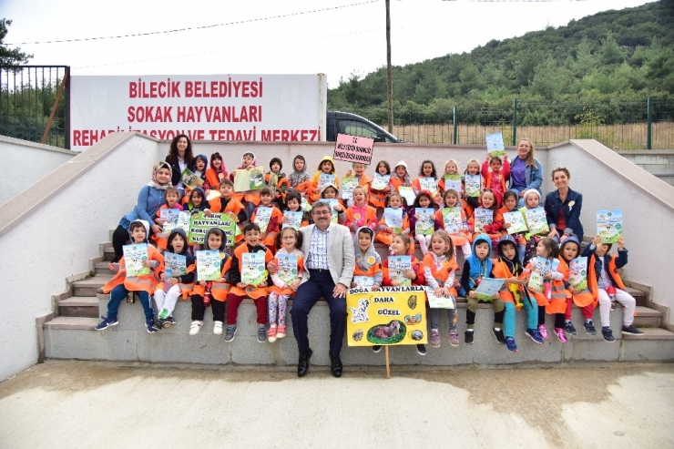 Bilecik Belediyesi Sokak Hayvanlarını Unutmadı