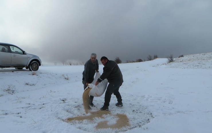 Hayvanlar Aç Kalmasın Diye Doğaya Yiyecek Bıraktılar