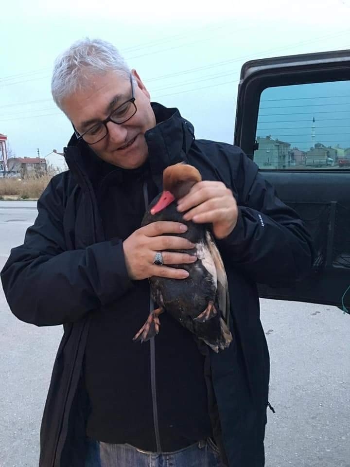 Eber Gölünde Silahla Vurulan Macar Ördeği Tedavi Altına Alındı