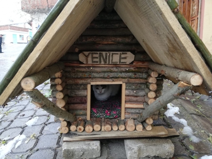 Köydeki Evsiz Kediler İçin Kendi İmkanlarıyla Kulübe Yaptı