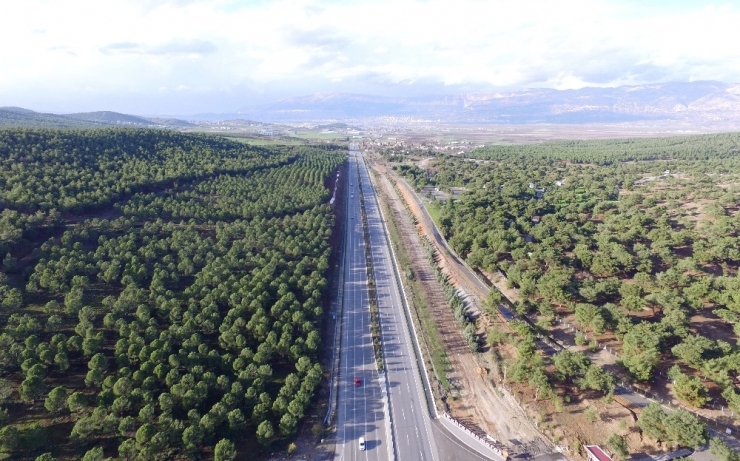 Orman Zengini Kahramanmaraş