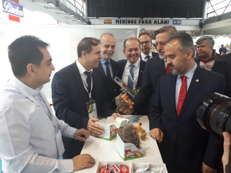 Kardelen Kestane Şekeri ‘Kirpiş’ Maskotuyla Raflarda