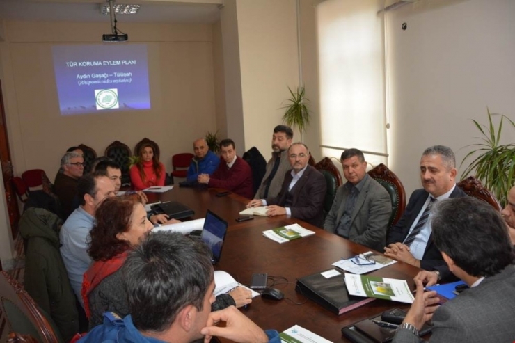 Kuşadası’nda Tüllüşah İçin Yeni Eylem Planı