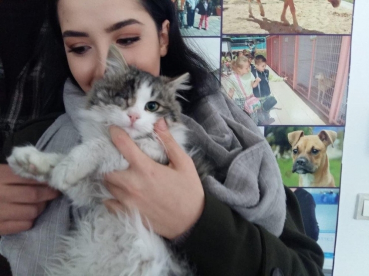 Tek Gözü Yaralı Kediyi Sahiplendi