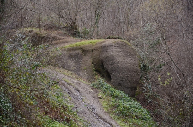 Ordu’daki ‘Fil Kayası’ Görenleri Şaşırtıyor
