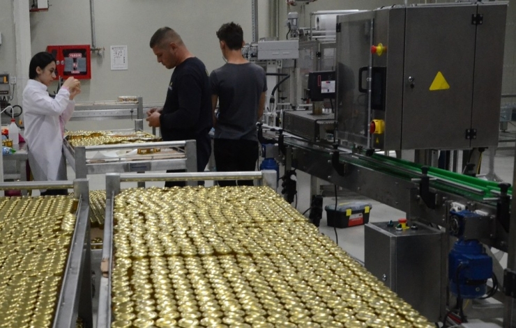 ’Bal’a 4 Dilli Analiz