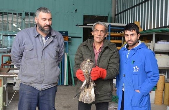 Yaralı Atmaca Tedavi Altına Alındı