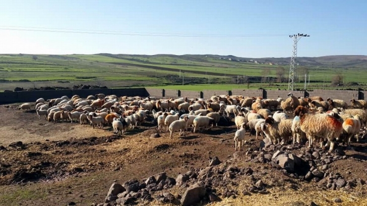 Üreticiye Destek Sürüyor