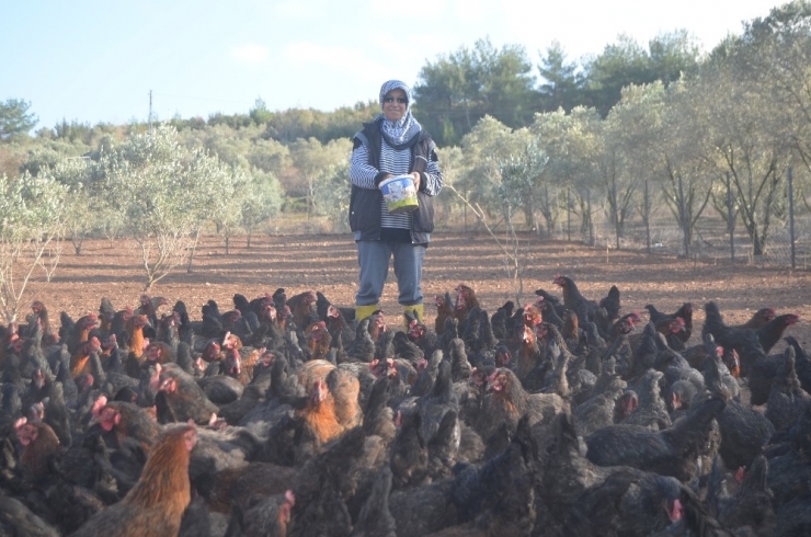 Hobisini Gelir Kapısına Çevirdi