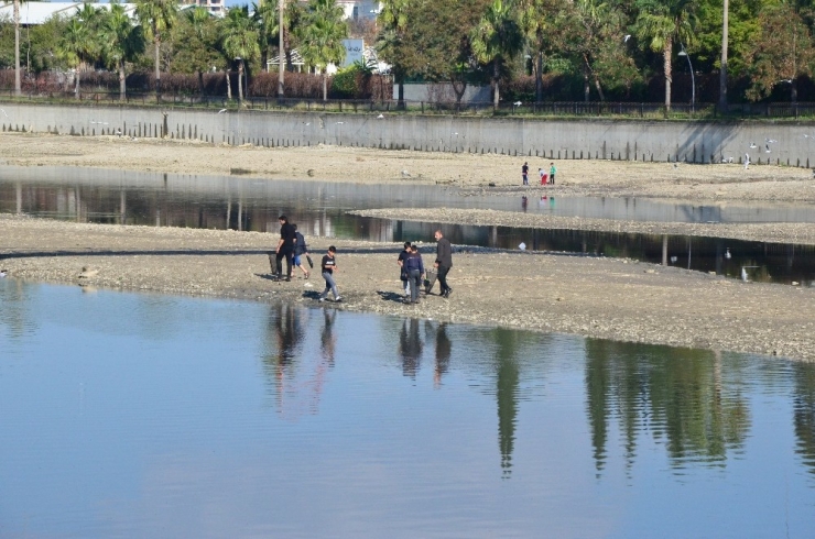 Oksijensiz Kalan Balıklar Su Yüzüne Çıktı, Fırsatçılar Nehre Akın Etti