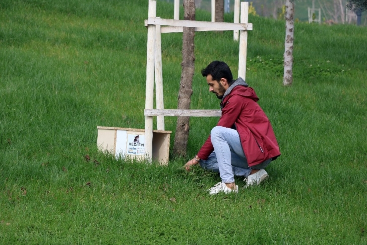Gençlerden Kedileri Isıtacak Çalışma