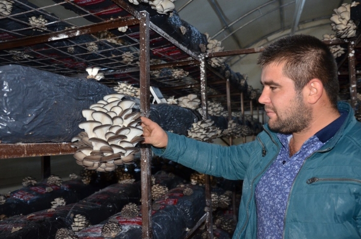 Genç Çifti Projesiyle Hayatı Değişti