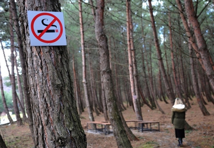 Omü Adım Adım “Dumansız Yeşil Kampüs” Olacak