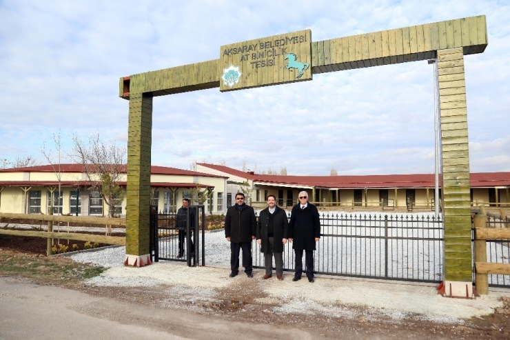 Başkan Yazgı At Binicilik Tesisinde İncelemelerde Bulundu