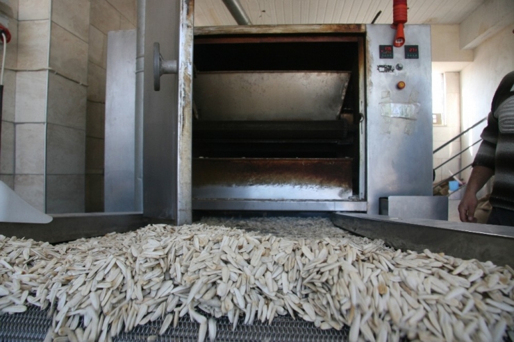 Kuruyemişçiler 2019’dan Umutlu