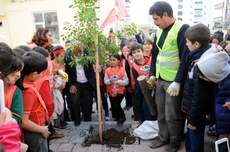 Çocuk Eliyle Sokaklar Yeşilleniyor