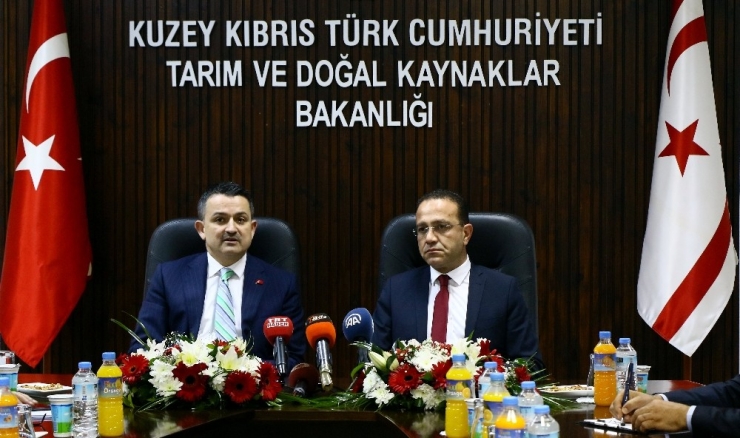 Tarım Ve Orman Bakanı Pakdemirli Kktc’de