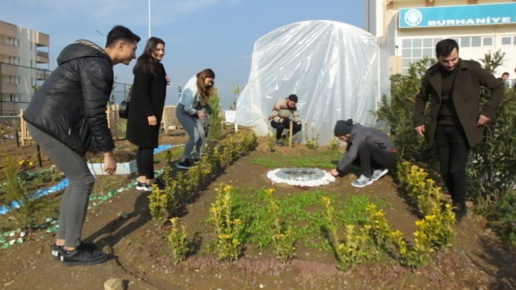 Peyzajcı Üniversiteliler