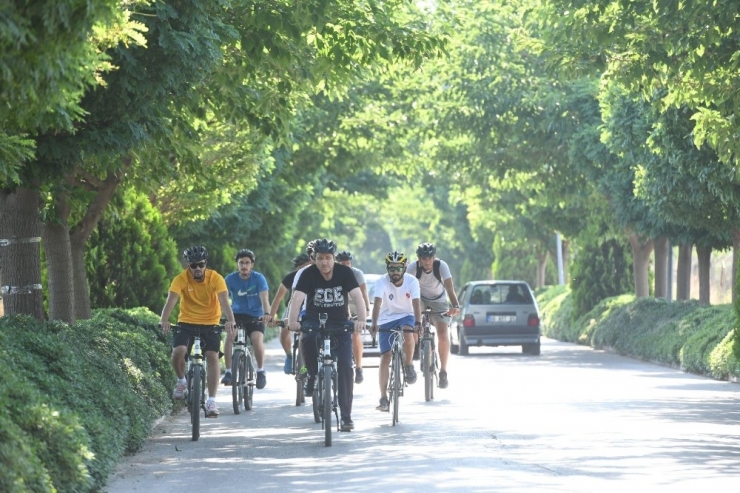 Yeşil Üniversite: Ege