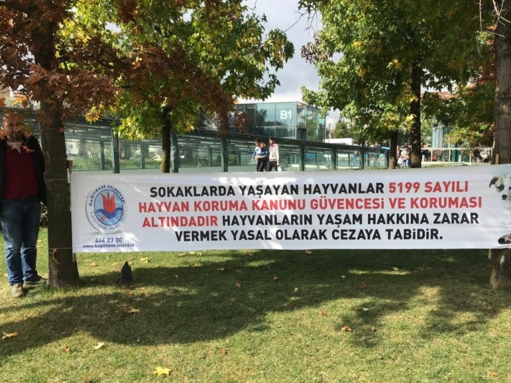 Parktaki Hayvanların Çocukları Korkuttuğunu Sosyal Medyada Paylaşan Muhtar Adayına Tepki