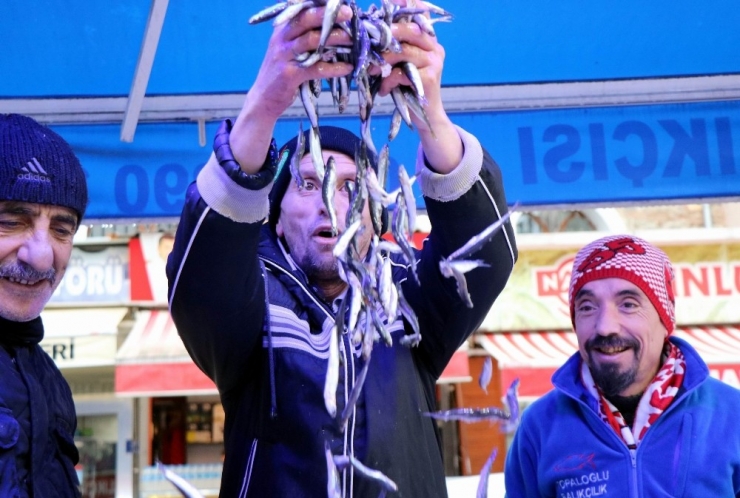 Karadeniz’de Balık Azaldı Ama Talep Azalmadı