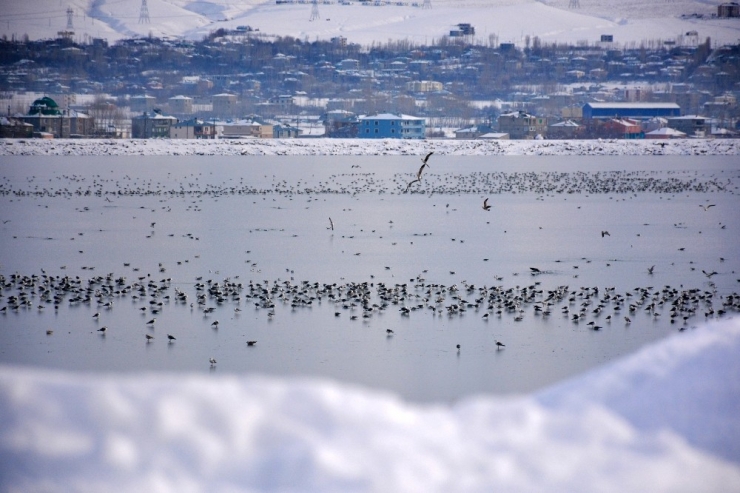 Sıhke Gölü Buz Tuttu