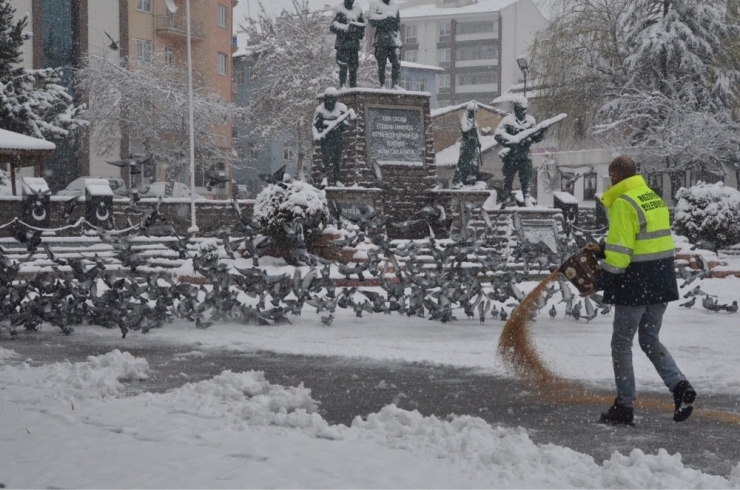 Bozüyük’te Sokak Hayvanları Yalnız Değil