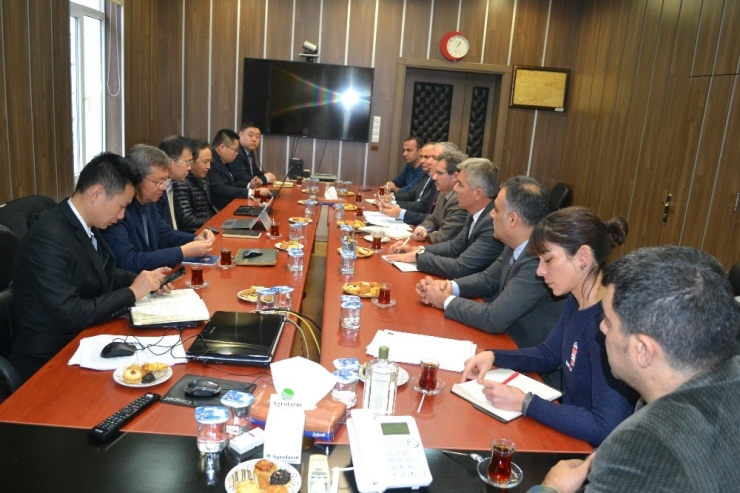 Samsun’dan Çin’e Alabalık İhraç Edilecek