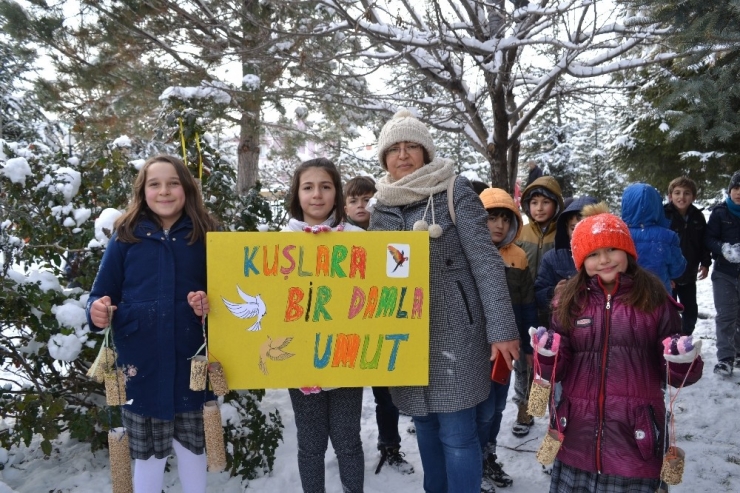 Şuhutlu Minik Öğrencilerin Kuşlara Yem Bırakma Heyecanı