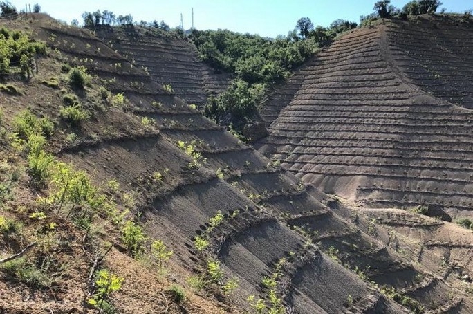 Seben’de, 2018 Yılında 400 Bin Fidan Toprakla Buluştu