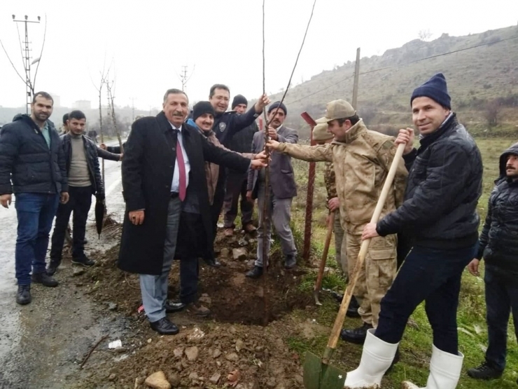 Çüngüş Belediyesinden Ağaçlandırma Seferberliği