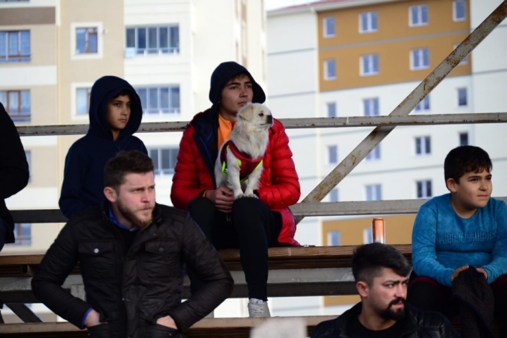 Belsinspor Sevdalısı; Bulut Sahibini Ve Takımı Yalnız Bırakmıyor