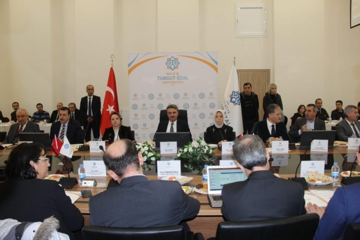 Kayısı Malatya’da Masaya Yatırıldı