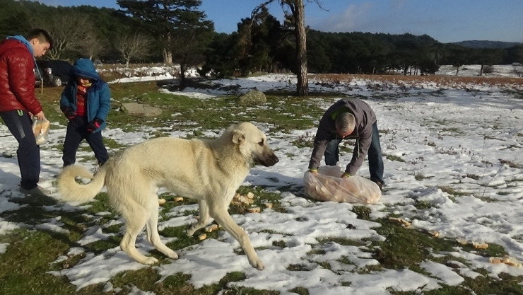 Lokantacılar Ve Fırıncılardan Örnek Davranış
