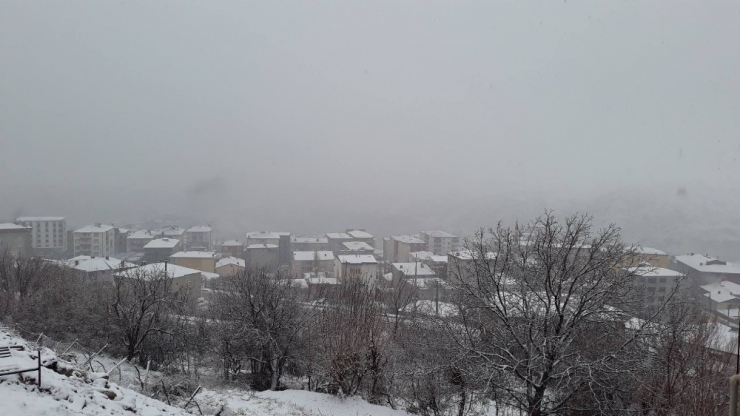 Kulp’ta Eğitime Kar Tatili