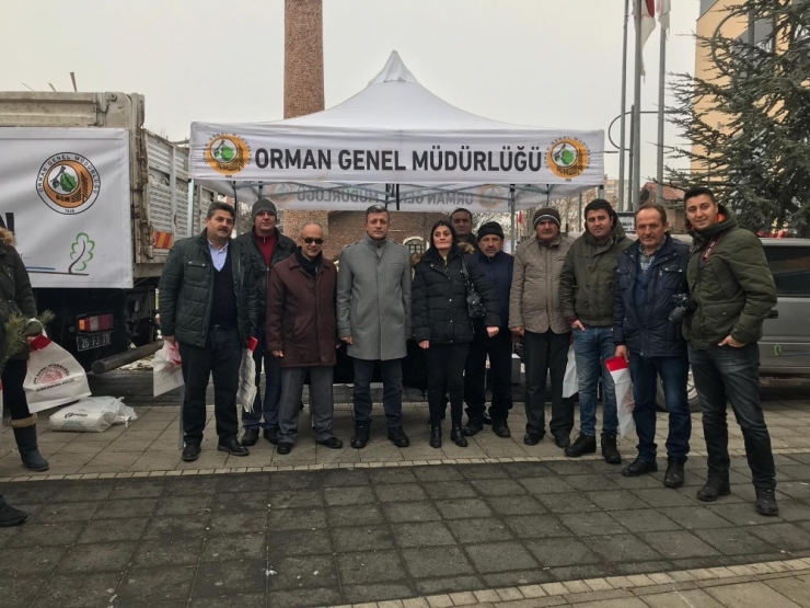 2019 Yılına Özel 2 Bin 19 Fidan Dağıtıldı