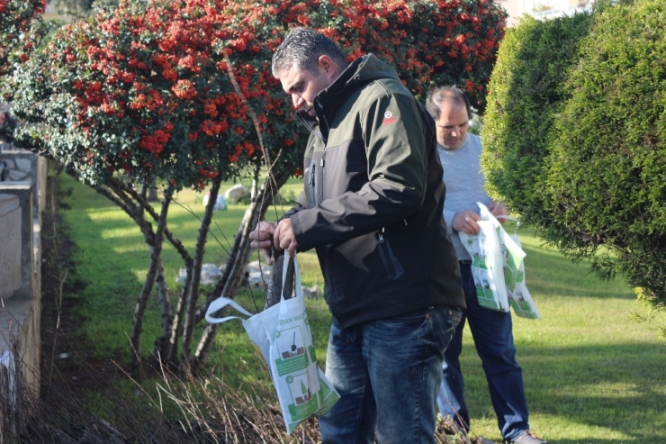 Marmaris’te 3500 Adet Fidan Dağıtıldı