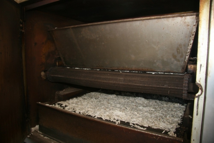 2018 Yılında Yerli Beyaz Çekirdeğe Çin Darbesi Vuruldu