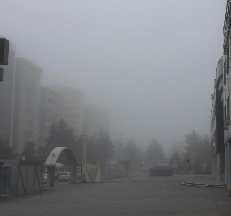 Diyarbakır Yeni Yılı Sisle Karşıladı