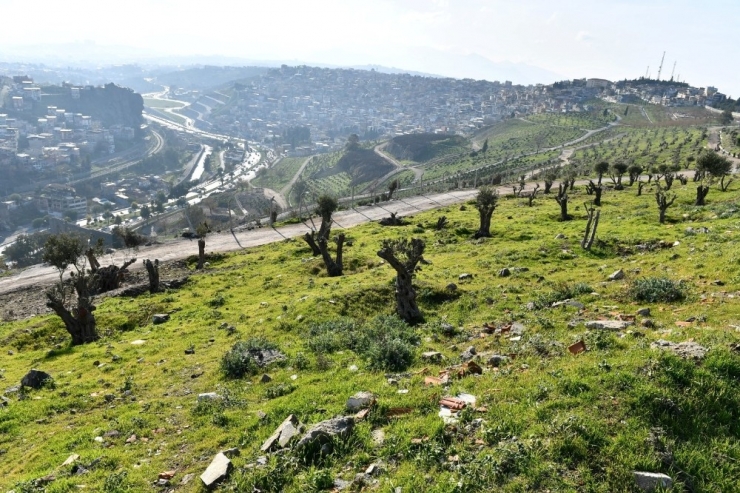 Kale’de Yeşil Seferberlik