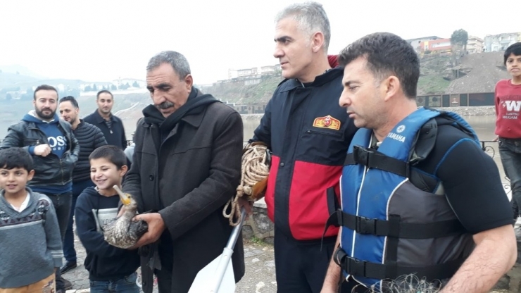 Cizre’de Nehirde Ayağına Olta İpi Dolanan Ördeği İtfaiye Kurtardı